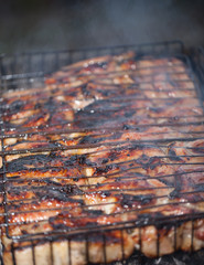 Making barbeque on grill. Weekend cookout. Cooking outside, picnic. Seasonal