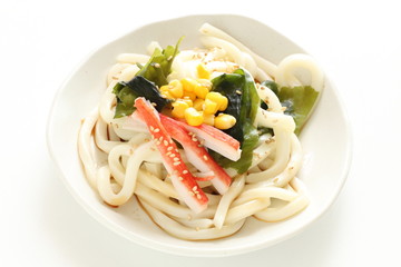 Homemade Japanese summer cold Udon noodles with seaweed