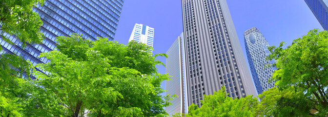 新緑の新宿副都心の風景(パノラマ)
