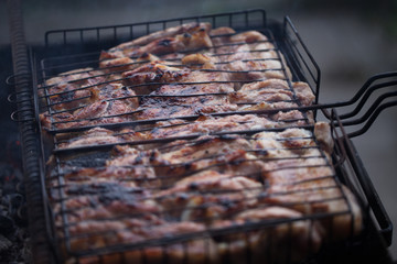 Making barbeque on grill. Weekend cookout. Cooking outside, picnic. Seasonal