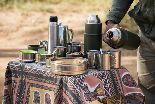 Fototapeta Safari pic-nic