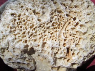 Stone texture on rock near seashore