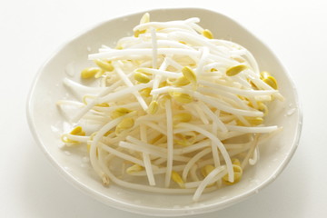 Freshness soy sprout on white background