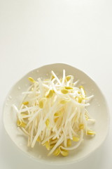 Freshess soy sprout on dish with copy space