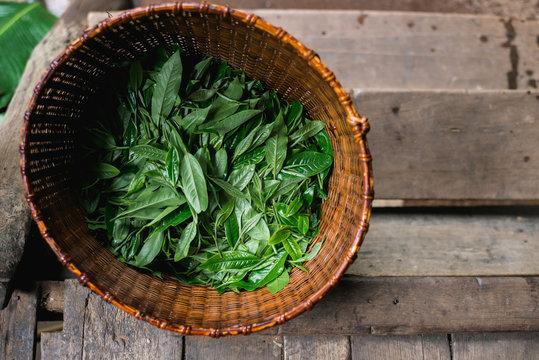 Natural organic teas