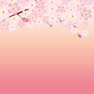 14 Best 入園のイメージ Images Stock Photos Vectors Adobe Stock 14 Best 入園のイメージ Images Stock Photos Vectors Adobe Stock