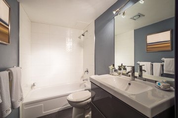 Fototapeta na wymiar Interior design of a spacious and elegant bathroom.
