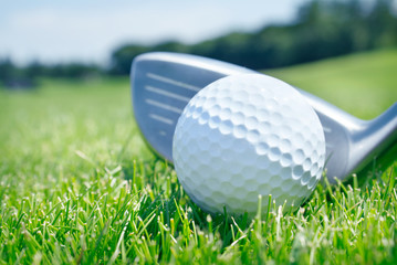 Golf club and ball in grass