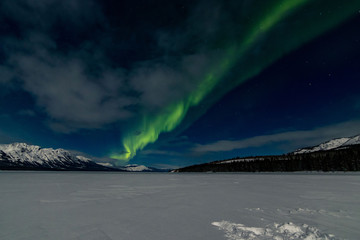 Northern Lights Aurora Borealis, Yukon Territory, Canada