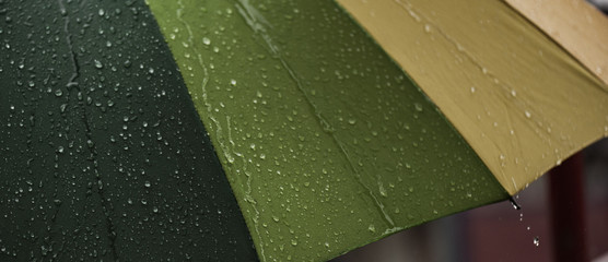  The panorama of Close-up  umbrella in rainbow colors in rainy autumn day, blur focus © Alex