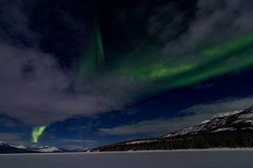 Fototapeta na wymiar Northern Lights Aurora Borealis, Yukon Territory, Canada
