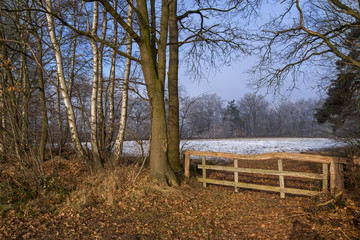 Altes Viehgatter aus Holz