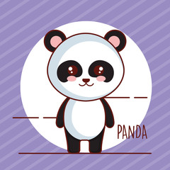 cute panda bear tender character vector illustration design