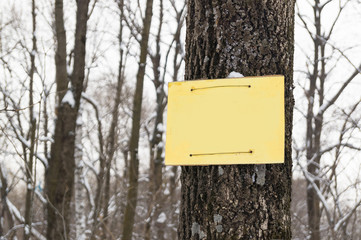 Nameplate with space for text or inscription on the tree in winter forest.