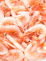 桜えび　釜揚げ