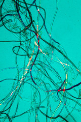 Microscopic view of dust
