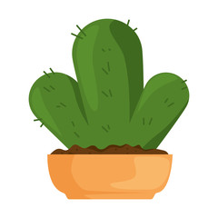 beautiful cactus houseplant in pot vector illustration design