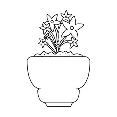 beautiful houseplant with flowers in pot vector illustration design