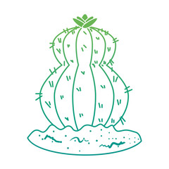 beautiful cactus planted icon vector illustration design