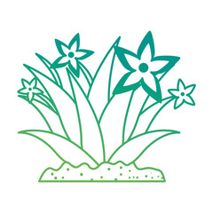 garden flower cultivated icon vector illustration design