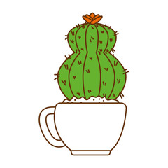 beautiful cactus houseplant in pot vector illustration design