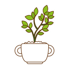 beautiful bonsai houseplant in pot vector illustration design