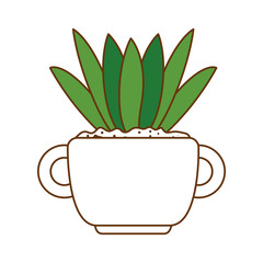 beautiful houseplant in pot vector illustration design