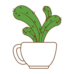 beautiful cactus houseplant in pot vector illustration design
