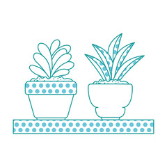 beautiful houseplants set in wooden shelf vector illustration design