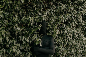 Shadow man in leaves