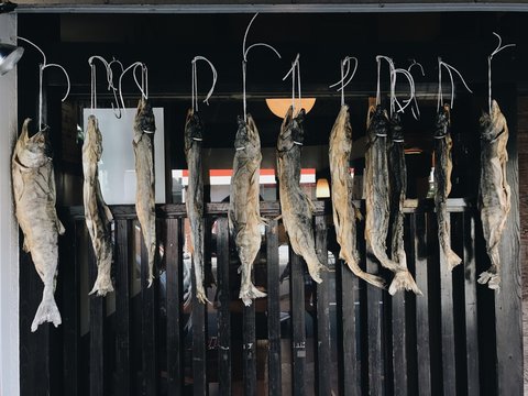 group of wild caught fish hanging outside air restaurant japan tokyo