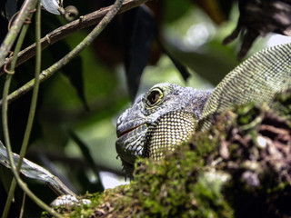 Costa Rica