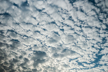 Sky full of fluffy cloud with sun light in daytime