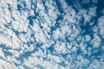 Fototapeta na wymiar Sky full of fluffy cloud with sun light in daytime