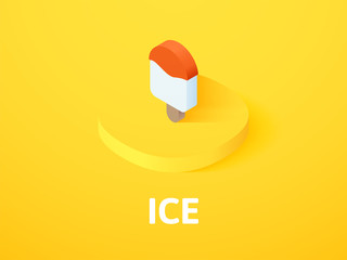 Ice isometric icon, isolated on color background