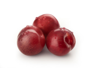 Red plums with dew