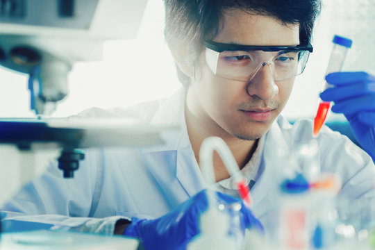 Asian Scientists Working In Laboratory