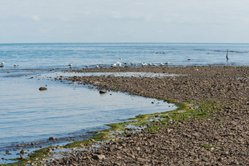 Rocky beach