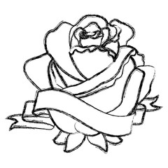 red rose flower ribbon decoration delicate vector illustration sketch image