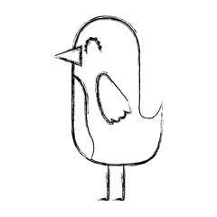 cute cartoon bird animal beauty image vector illustration sketch
