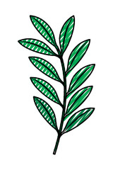 green branch leaves nature foliage vector illustration drawing image