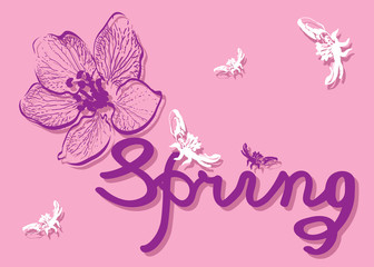 Spring Card on a Pink Background