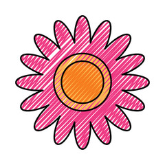 flower decoration ornament natural vector illustration image