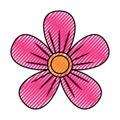 flower decoration ornament natural vector illustration image