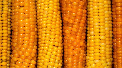 peeled ripe yellow corn on the cob closeup