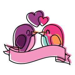 adorable couple birds together kiss hearts love in ribbon vector illustration