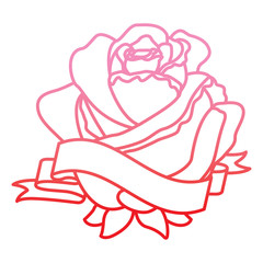 red rose flower ribbon decoration delicate vector illustration degrade color line