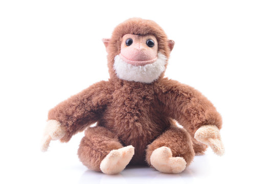 Monkey on a white background