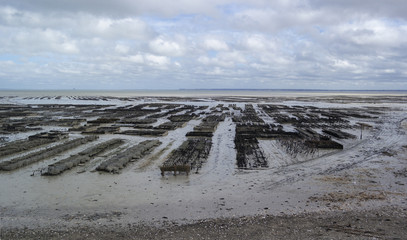 SAINT-MALO, CANCALE FRANCE - MARCH 26,2016: oyster farm
