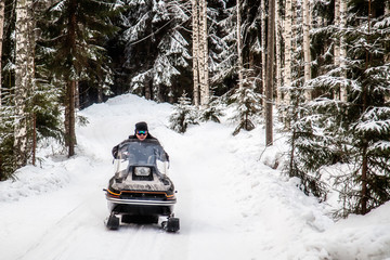 A man is riding a snowmobile in the winter forest